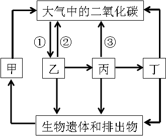 2019年四川教师资格证考试大纲：《科学学科知识及教学能力》（初级中学）