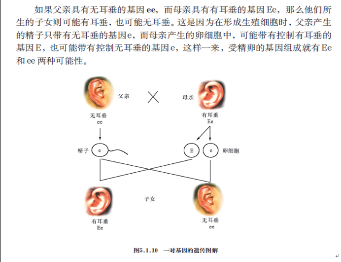 2019年四川教师资格证考试大纲：《科学学科知识及教学能力》（初级中学）