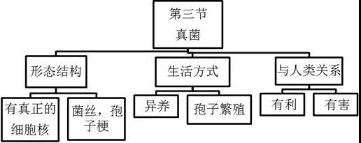 四川中小学教师资格证面试