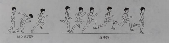 2021下半年四川小学教师资格笔试真题及答案（科目二）6